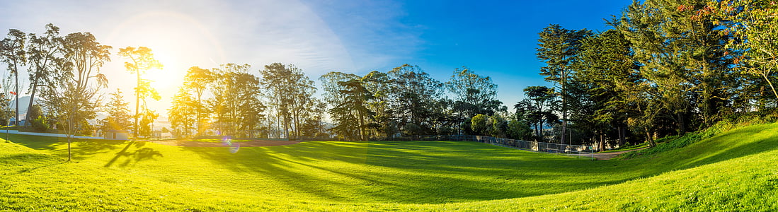 green grass field surrounded by trees at daytime thumbnail
