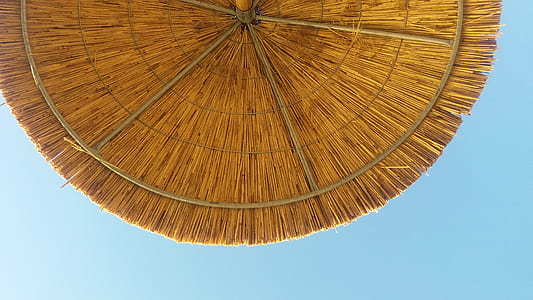 worm's-eye of view nipa umbrella thumbnail
