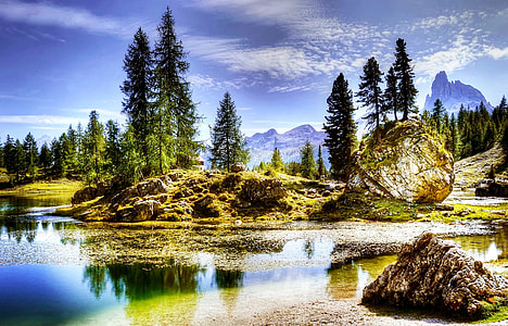 lake beside trees thumbnail