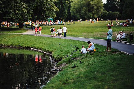 A sunny day at the park thumbnail
