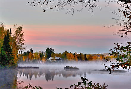 landscape photography of foggy pine trees in front of lake thumbnail