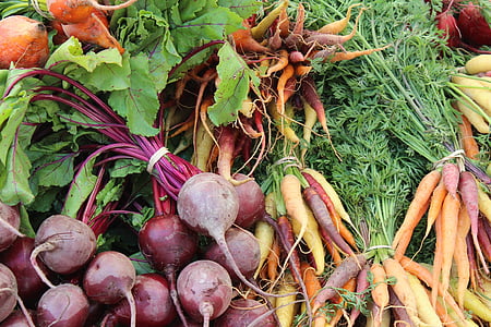 bunch of vegetables thumbnail