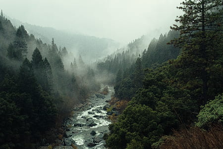 landscape photography of valley thumbnail