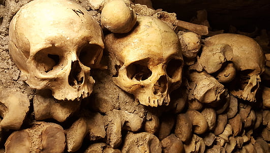 three skulls on wall thumbnail