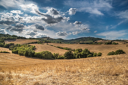 landscape photo of grass field thumbnail