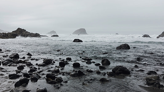 grayscale photo of body water thumbnail