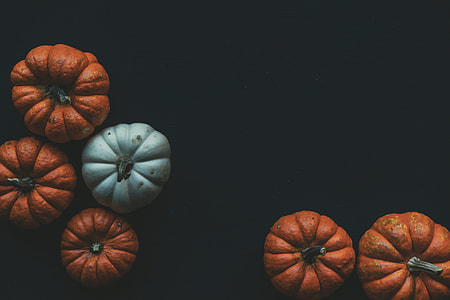 Overhead shot of pumpkins on a dark background thumbnail