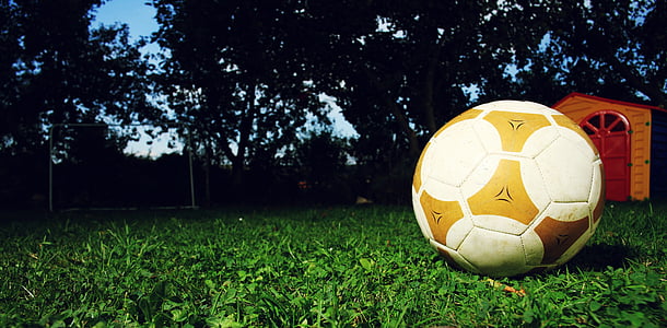 white and beige soccer ball thumbnail