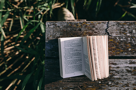 Reading book at lake thumbnail