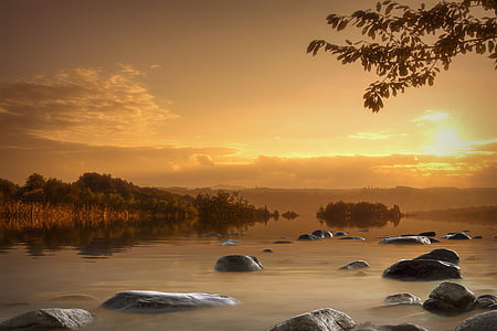 body of water near trees during golden hour thumbnail