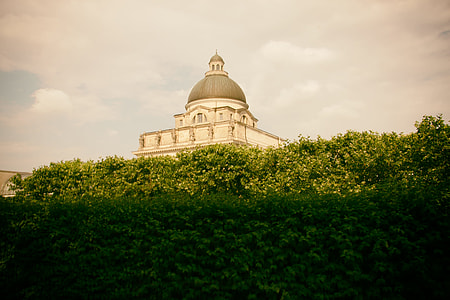 Bushes in Munich thumbnail