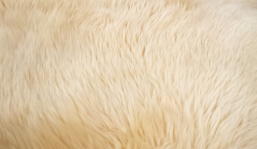 white fur thumbnail