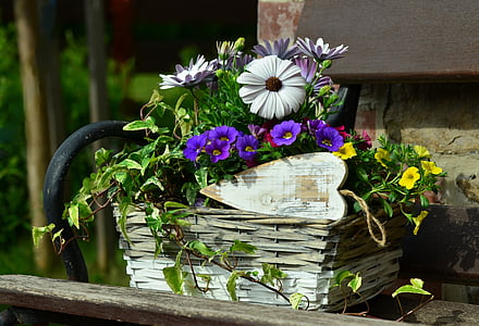 purple, white, and yellow petaled flowers centerpiece in bloom at daytime thumbnail