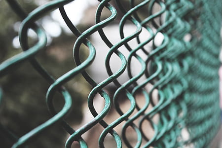 Selective Focus Photography of a Green Link Fence thumbnail