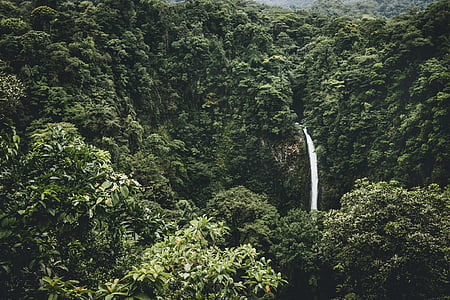 waterfalls surrounded by trees during daytime thumbnail
