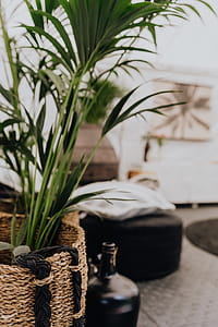 Details of modern interior with green plants thumbnail