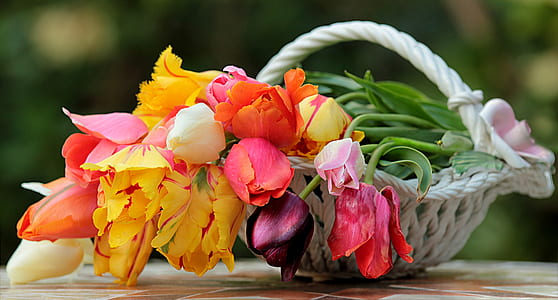 flowers in white knitted basket thumbnail