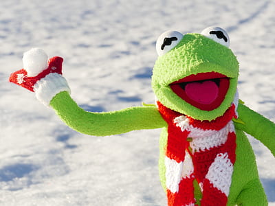 Kermit the Frog holding snowball thumbnail