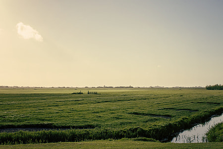green grass field at daytime thumbnail
