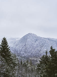 snow covered pine trees on mountain taken under white clouds during daytime thumbnail