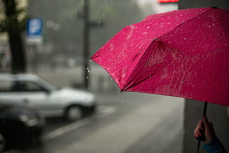water drops dripping on pink umbrella held by a person thumbnail