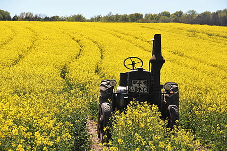 black tractor on yellow petaled flower field during daytime thumbnail