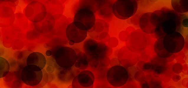 plasma, blood, blood cells, magnification thumbnail