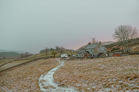 gray painted house thumbnail