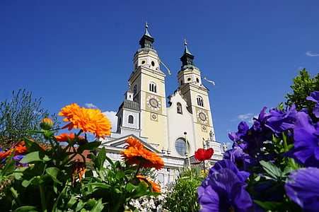 worms eye view photography of cathedral thumbnail