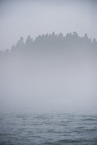 fog covered island thumbnail