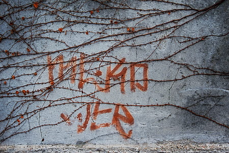 red text graffiti on wall with brown vine plant at daytime thumbnail