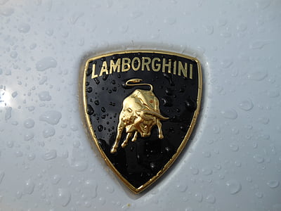 close-up photography of Lamborghini emblem thumbnail