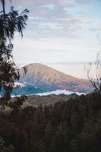 Forest mountains surrounded by trees at sunset thumbnail