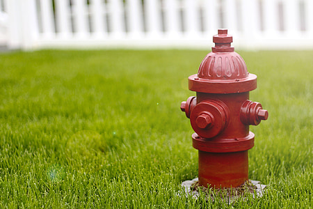 selective focus photography of fire hydrant thumbnail