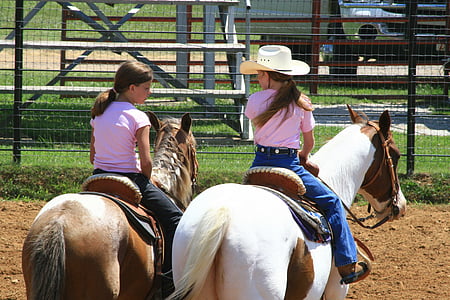 brown and white horses thumbnail