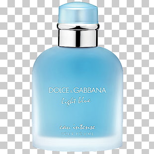 douglas dolce gabbana light blue intense