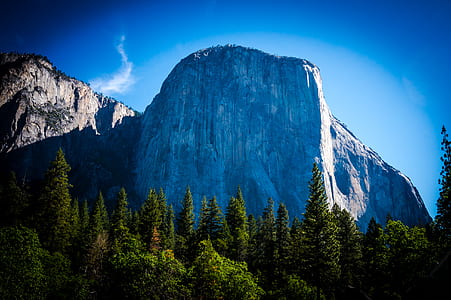 Green Pine Trees in Front of a Rock Mountain thumbnail