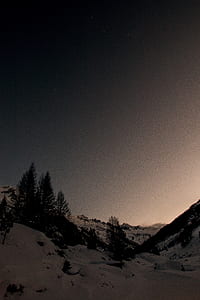snow covered field during night thumbnail