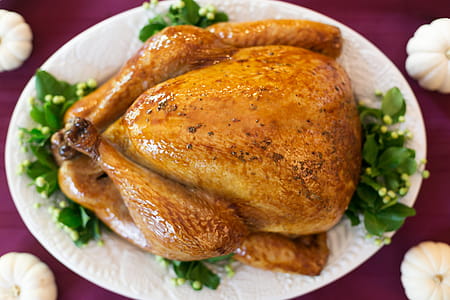 Roasted Turkey Photo thumbnail