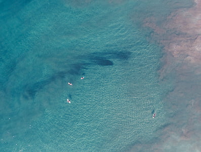 aerial view photography of beach thumbnail