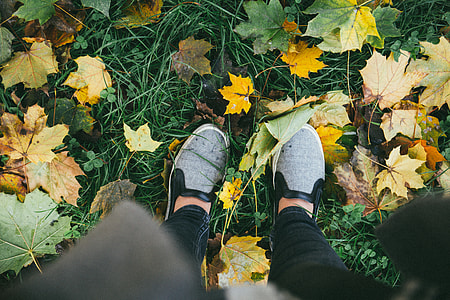 person standing in the green grass field thumbnail