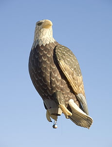 bald eagle hot air balloon flying under blue sky thumbnail