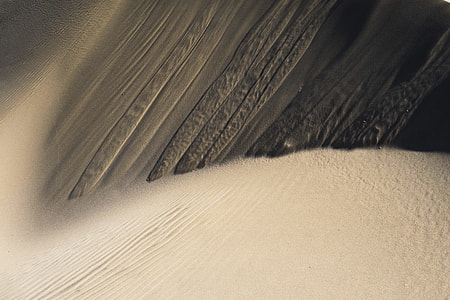 nature, winter, close-up, snow thumbnail