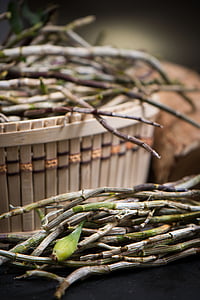 brown-and-green stems in tilt-shift lens photography thumbnail