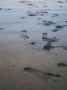 Close Up Photo of Foot Prints thumbnail