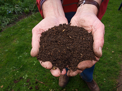 person holding brown soil near grass thumbnail