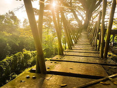Brown Wooden Bridge Under Blue Sky thumbnail