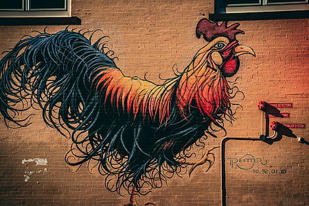 red and black rooster graffiti thumbnail