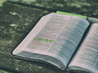 bible opened place on grey board thumbnail