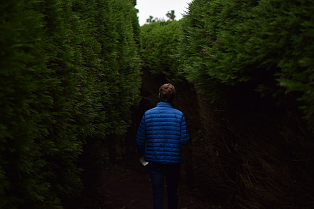 person beside trees walking thumbnail